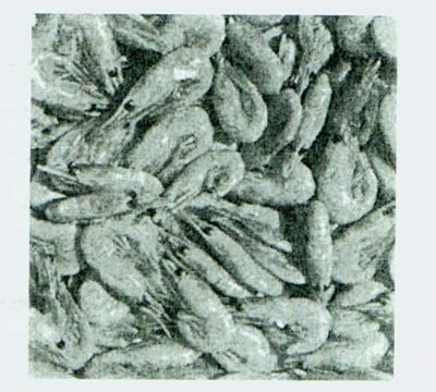 پرتودهي در مواد غذايي 